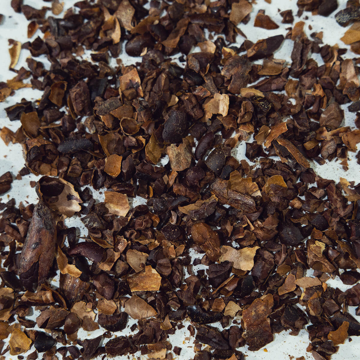 Kakaobutter auf Deiner Haut - This Place