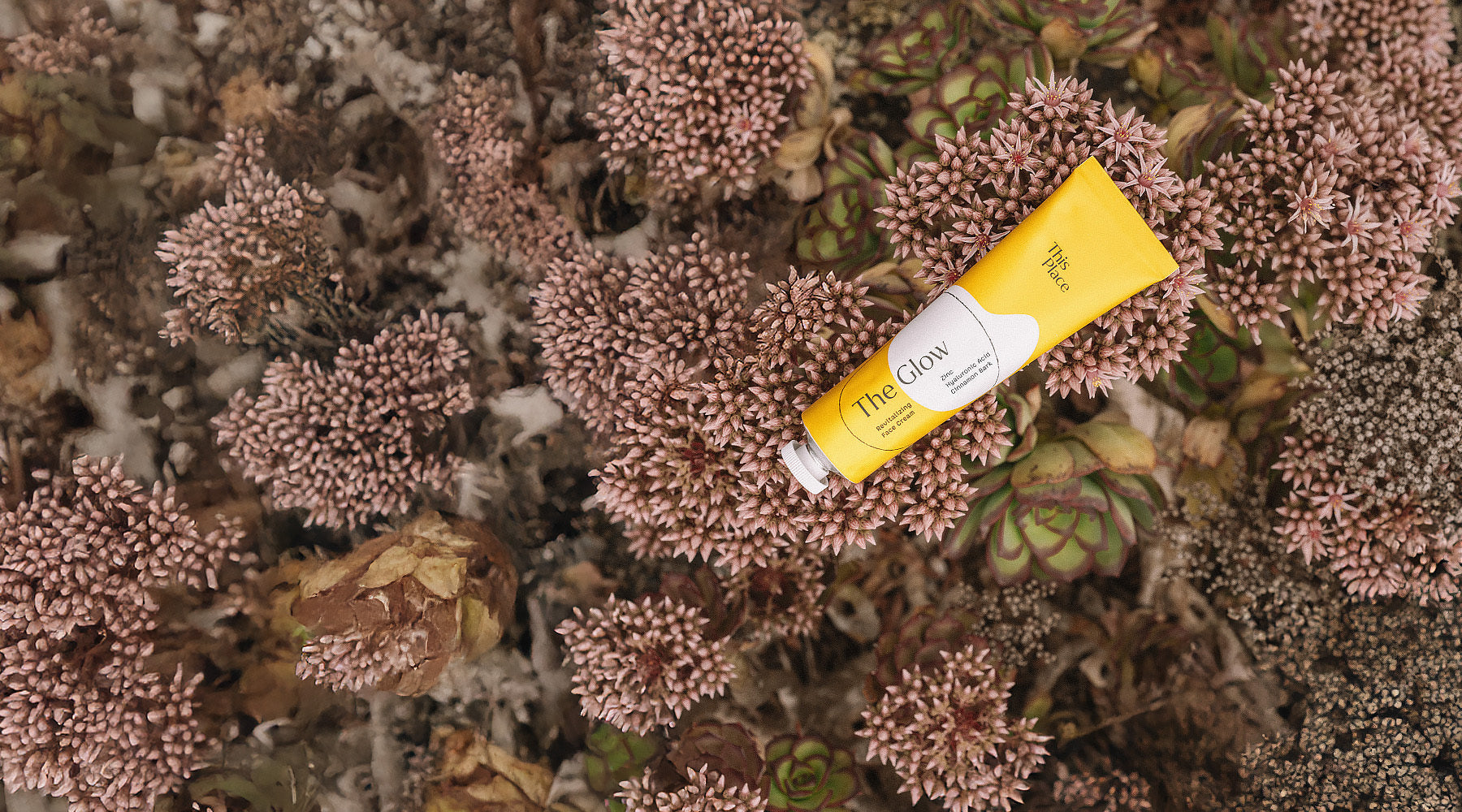 The Glow: Entzündungshemmender Effekt im Labor bestätigt