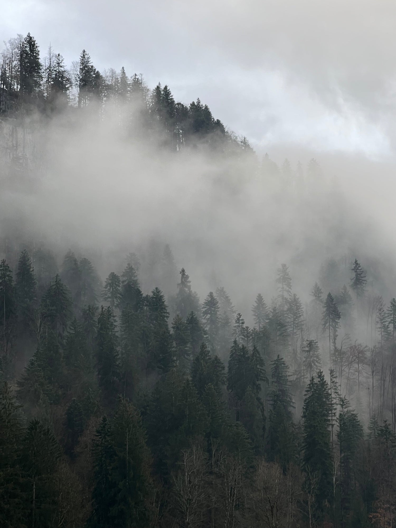 Achtsamkeit: Wissenschaftlich erwiesene Vorteile und einfache Ideen zur Integration in Deinen Alltag