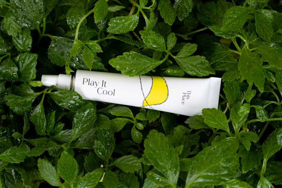 Jiaogulan: Wie das Kraut der Unsterblichkeit Dein Hautbild verbessern kann